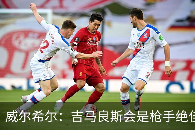 威尔希尔：吉马良斯会是枪手绝佳引援 签维尼修斯也有商业意义